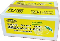 株式会社浜田屋本店 たまねぎスープ小箱入り 淡路島なるとオレンジグミ
