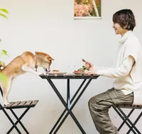 宮崎-森のチョウザメ-