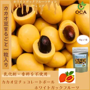 カカオ豆チョコレートボールホワイトガックフルーツ - 仕入れ・卸売り