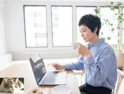 高ポリフェノール ノンアルコール ワインティー 100g粉末 - 仕入れ、卸