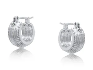 X194 ピアス レディース シルバー Plated platinum ゆうパケット 