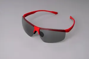 偏光調光サングラス 赤フレーム - 仕入れ、卸ならグッズ
