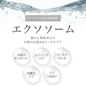EXOSOME + GLUTATHIONE 10Days FACE MASK 10  (160ml) -  -