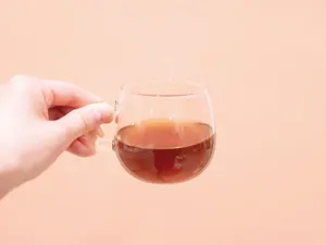 THE ONE 野草発酵エキス(500ml) 【化粧箱入：ハーブティー付き