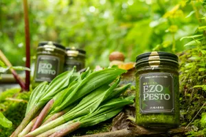 北のハイグレード2026受賞商品】 EZO pesto 145g（北海道産行者