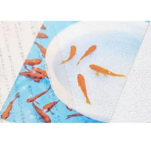 金魚すくい 透明写真栞 A4（金魚すくい）X - 仕入れ・卸売りならグッズ - 全国の