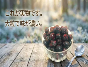 KIMONO FRUITS】冷凍ブルーベリー 10kg (1000g×10）（カナダ産）栄養