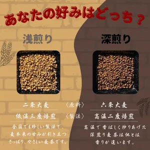 浅煎り 伝統製法麦茶 三角TB 中 15g×20袋】自家焙煎麦茶〔麦茶 夏 お茶
