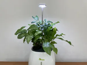 マルチスマートプランター - 仕入れ・卸売りならグッズ - 全国の