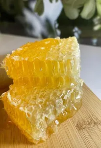 養蜂カタログ p.33 巣蜜（コムハニー ）専用巣枠2セット&養蜂面布