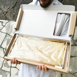 大型 コムハニー レフィル 枠込み重量3kg（内容量：2.2~2.4kg） 巣蜜