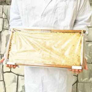 大型 コムハニー レフィル 枠込み重量3kg（内容量：2.2~2.4kg） 巣蜜 