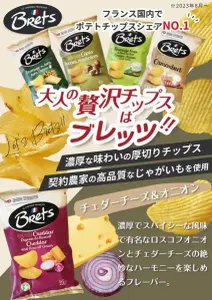 ブレッツ《おすすめ》チェダー＆オニオン ポテトチップス 10点セット