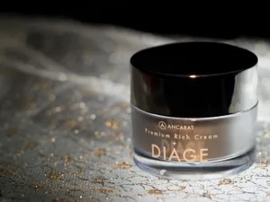 DIAGE - ディアージュ【プレミアムリッチクリーム】 DIAGE - ディアージュ【プレミアムリッチクリーム】 (50g) 120個