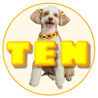 TEN(テン) - 仕入れ、卸ならグッズ