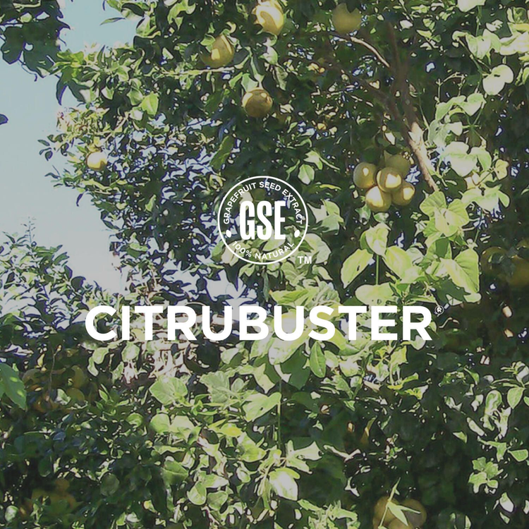 Picture of CITRUBUSTER